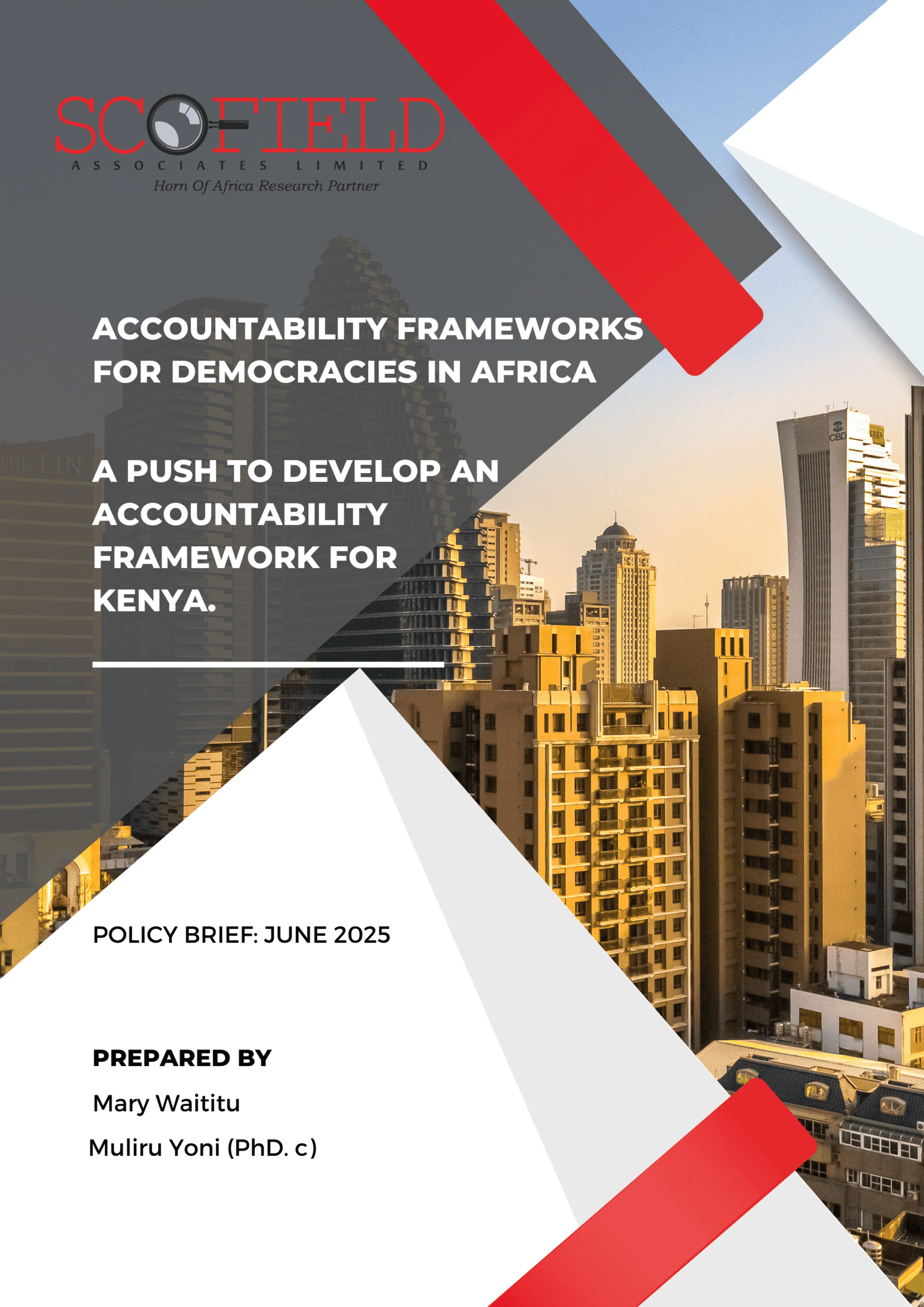 Accountability Frameworks for Democracies in Africa (June 2025 - Policy Brief)